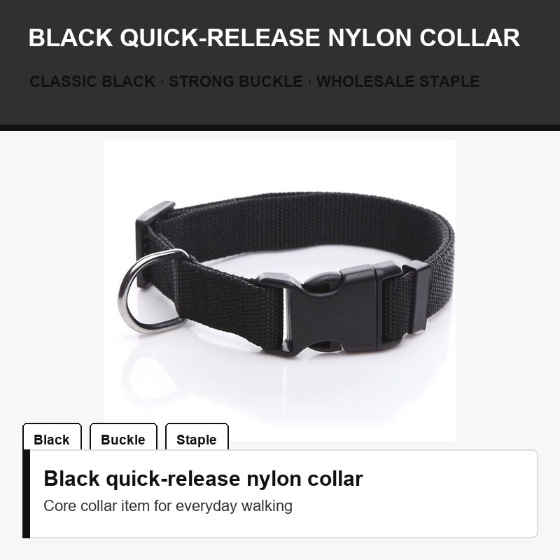 Black Quick-Release Nylon Collar