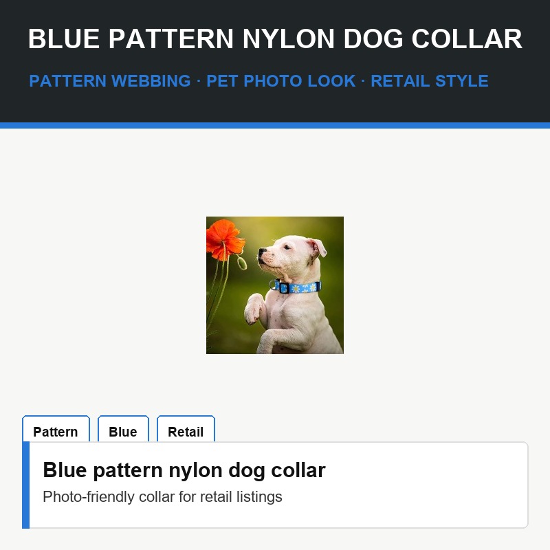 Blue Pattern Nylon Dog Collar