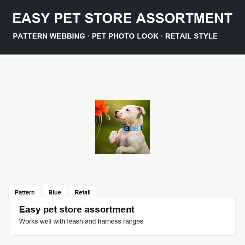 Blue Pattern Nylon Dog Collar - Hardware