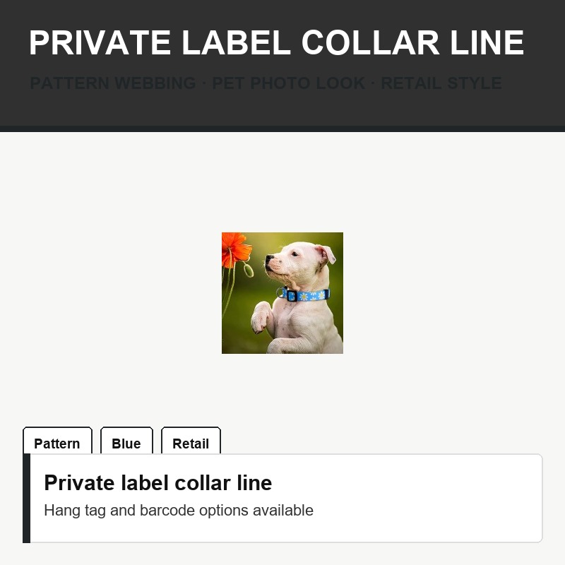 Blue Pattern Nylon Dog Collar - Packaging