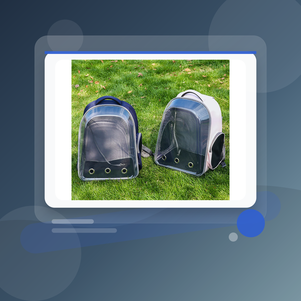 Carriers and pouches