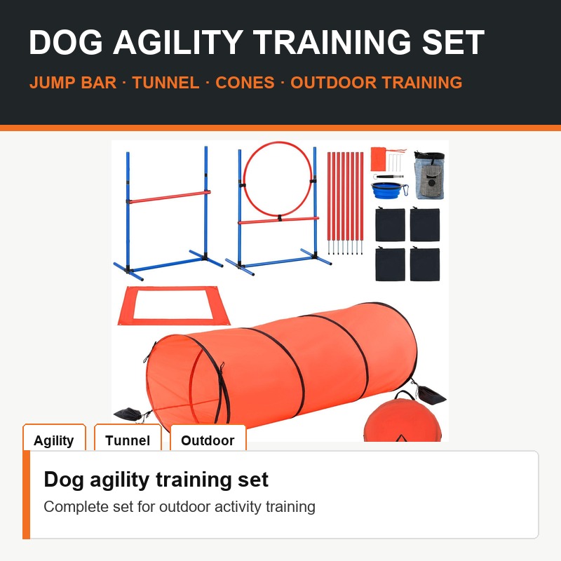 Dog Agility Training Set