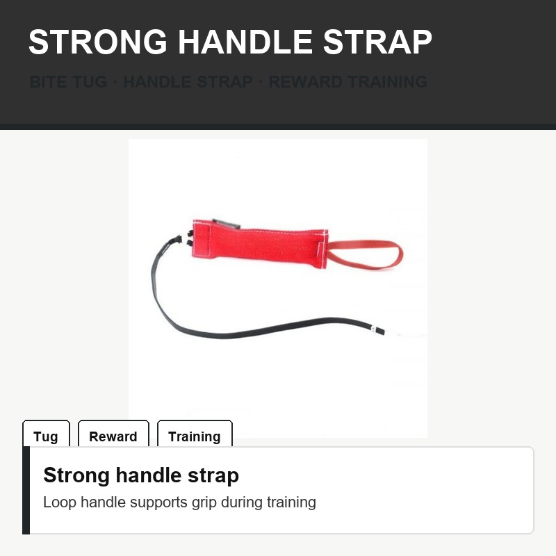 Dog Training Tug Tool - Fit Detail