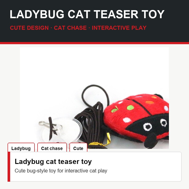 Ladybug Cat Teaser Toy