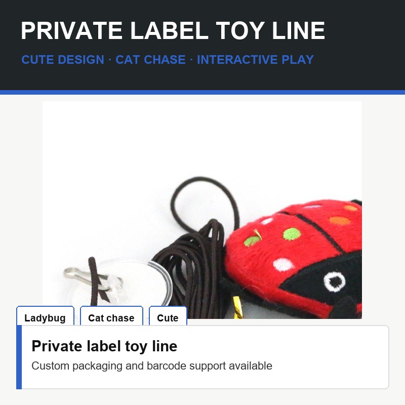 Ladybug Cat Teaser Toy - Packaging