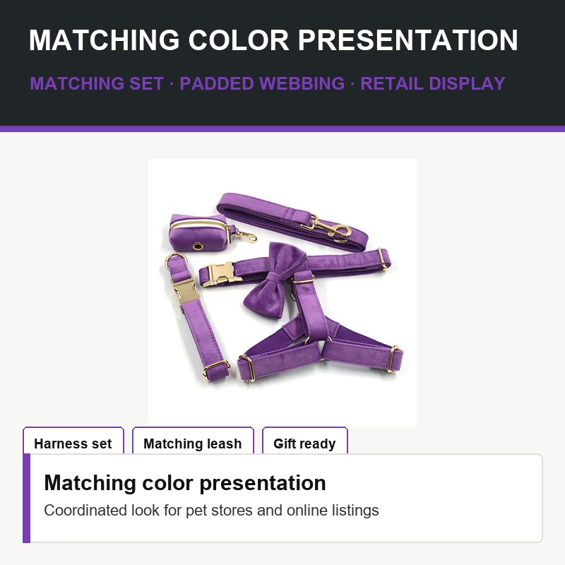 Purple Dog Harness and Leash Set - Fit Detail