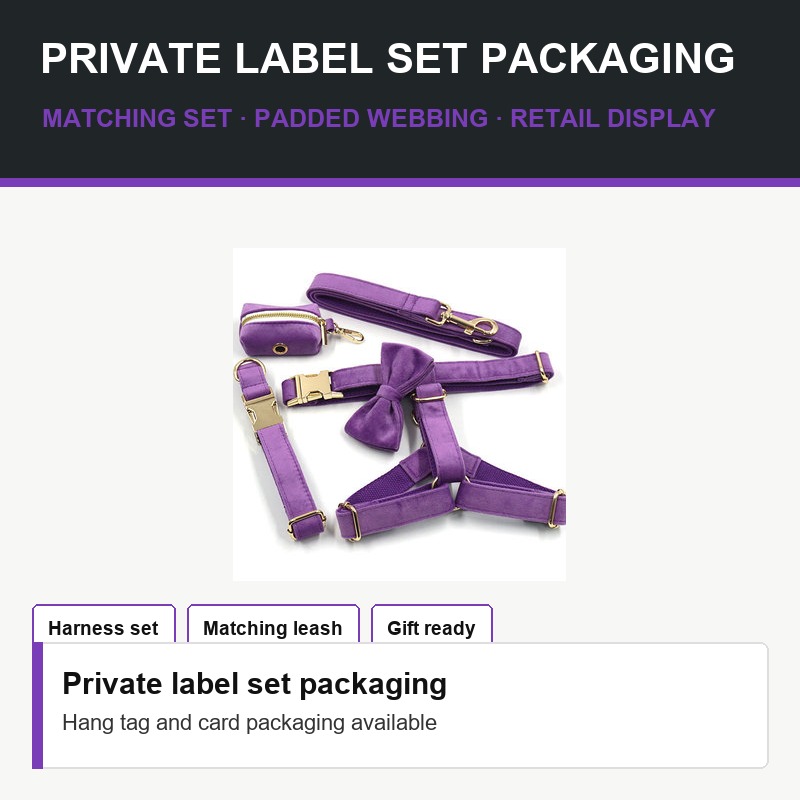 Purple Dog Harness and Leash Set - Packaging