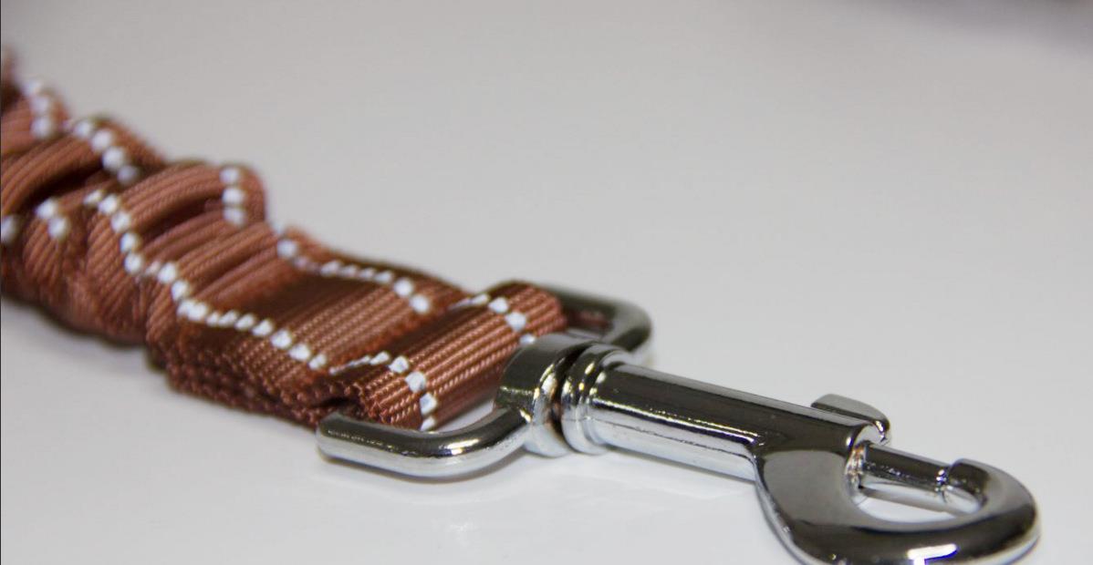 Reflective Red Rope Leash