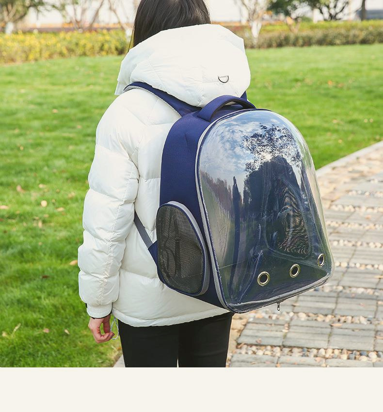 Space Capsule Pet Carrier - Sand