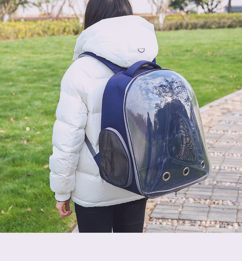 Space Capsule Pet Carrier - Lavender