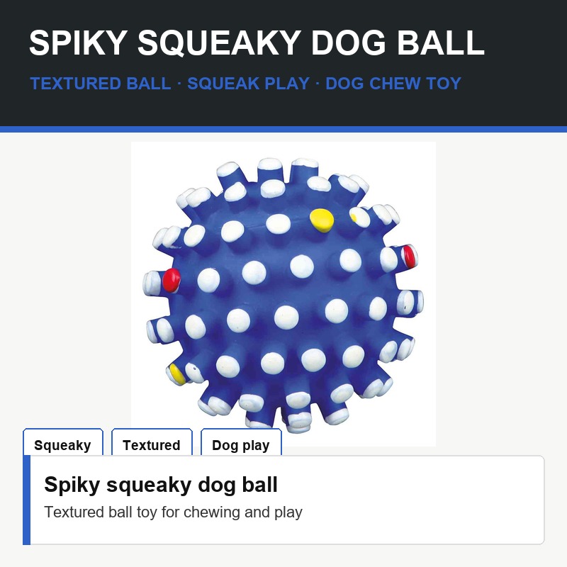 Spiky Squeaky Dog Ball